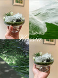 Aurora Sanctum – Clear Quartz & Epidote Crystal Garden in Glass Pedestal Bowl