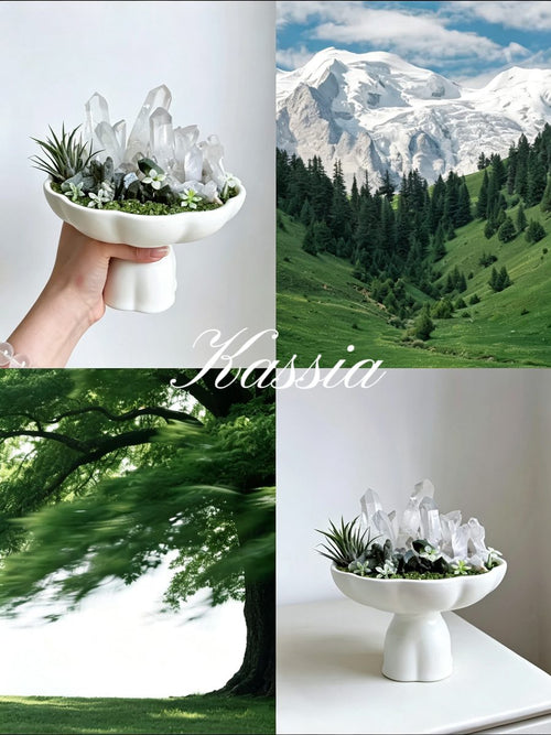 Forest Whisper Crystal Sanctuary | Clear Quartz & Epidote Ceramic Pedestal Décor