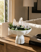 Forest Whisper Crystal Garden