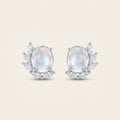 Madagascar Moonstone Earrings in 925 Sterling Silver