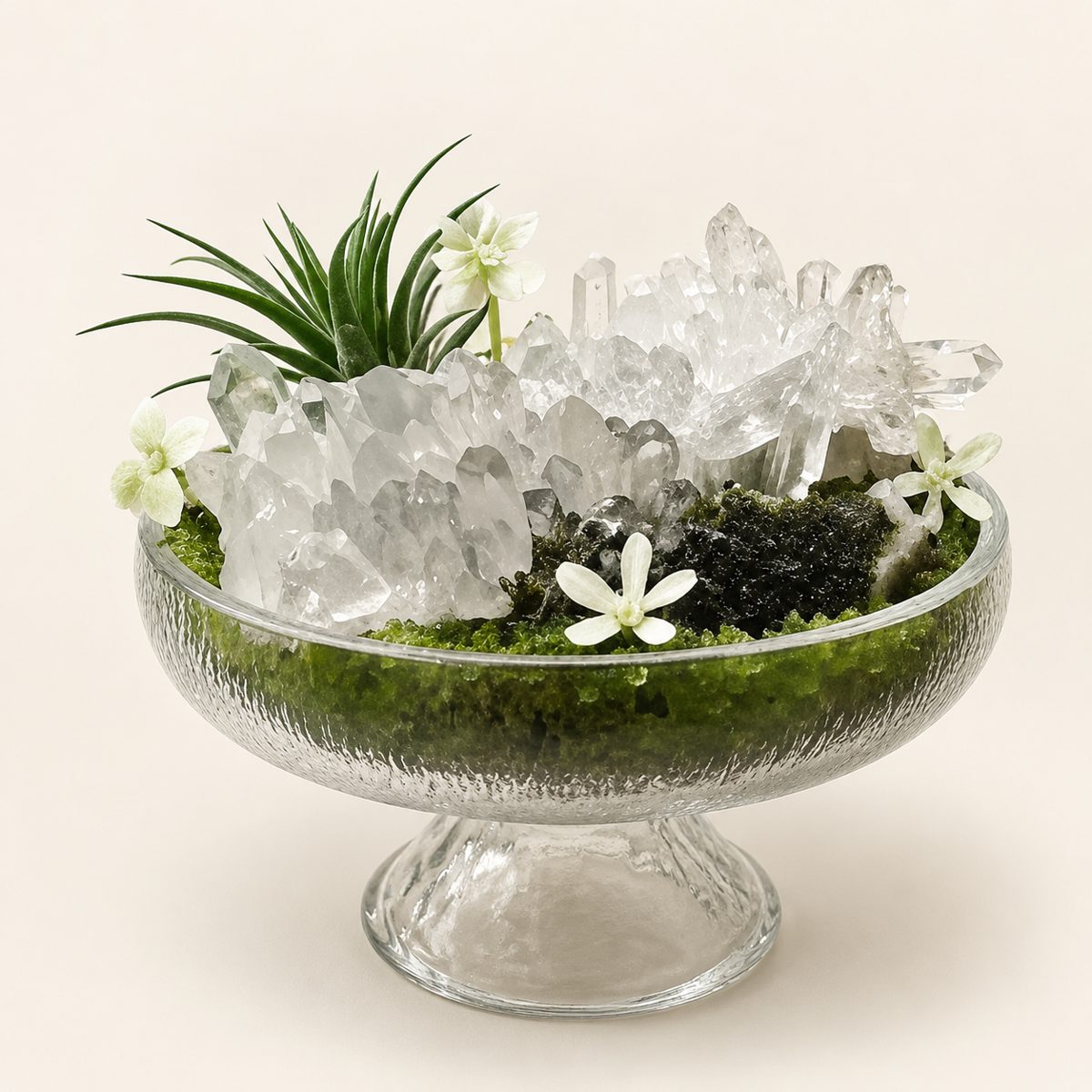Aurora Sanctum – Clear Quartz & Epidote Crystal Garden in Glass Pedestal Bowl