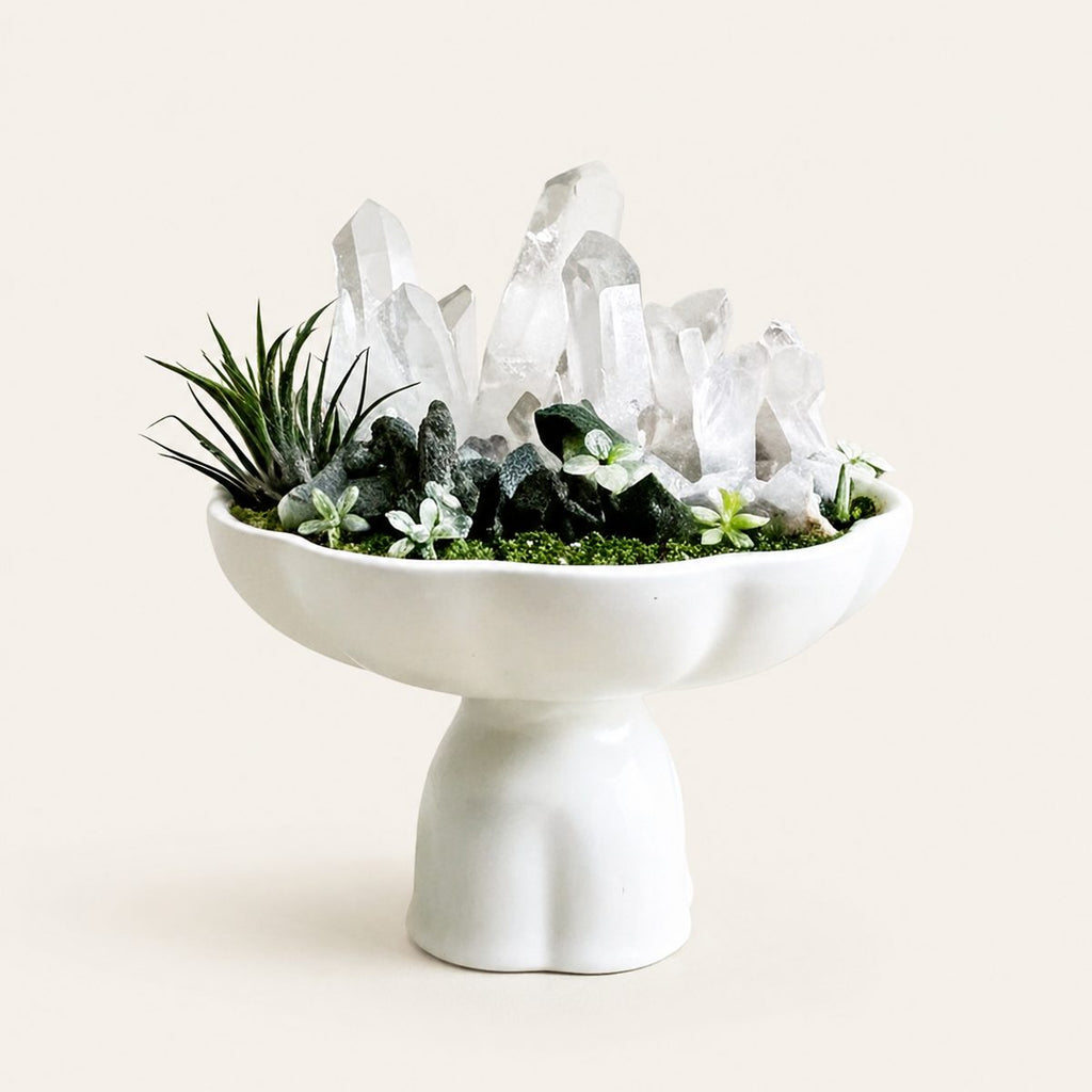 Lunar Sanctum – Clear Quartz Crystal Mountain in White Fluted Pedestal Bowl | Air Plant & Succulent Garden