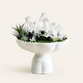 Forest Whisper Crystal Garden