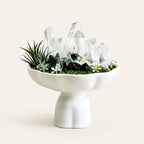 Forest Whisper Crystal Garden